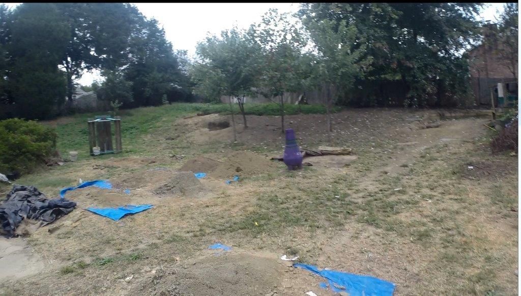 yard.jpg